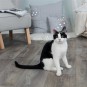 Trixie Kedi Otlu Baloncuklar Kedi Oyuncağı 120ml