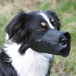Trixie Köpek Ağızlık Siyah XSmall 10cm Trixie Köpek Ağızlık Siyah XSmall 10cm