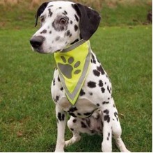 Trixie Köpek Bandanası XS-S 22-28 Cm
