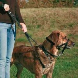 Trixie Köpek Eğitim Tasması Large-Beden 31cm Trixie Köpek Eğitim Tasması Large-Beden 31cm