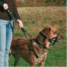 Trixie Köpek Eğitim Tasması Large-XLarge Beden 37cm