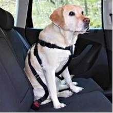 Trixie Köpek Emniyet Kemeri M50 - 70cm