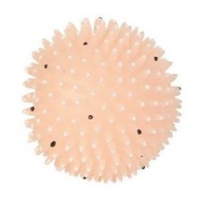 Trixie Köpek Oyun Topu Vinyl ø 10 cm