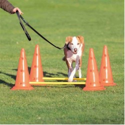 Trixie Plastik Köpek Aktivite Oyuncağı 30x50cm Trixie Plastik Köpek Aktivite Oyuncağı 30x50cm