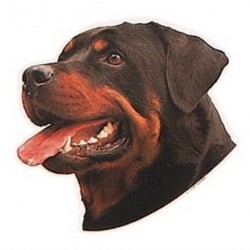 Trixie Rottweiler Köpeği Yapışkanlı Sticker 19,5 cm Trixie Rottweiler Köpeği Yapışkanlı Sticker 19,5 cm