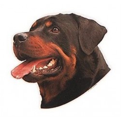 Trixie Rottweiler Köpeği Yapışkanlı Sticker 19,5 cm
