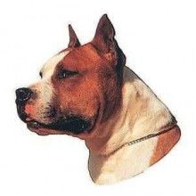 Trixie ST-Am. Stafford Terrier Kahve/Beyaz Çıkartması 1 adet