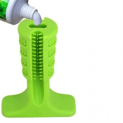 Welfare Köpek Diş Fırçası ve Çiğneme Aparatı 9,5 cm Welfare Köpek Diş Fırçası ve Çiğneme Aparatı 9,5 cm