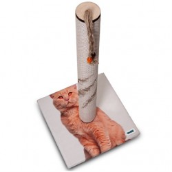 Wodoti Sarı British Baskılı Tırmalama Tahtası